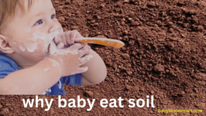 Why Baby Eat Soil